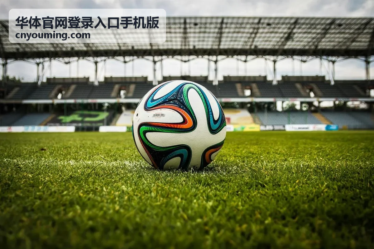 华体官网登录入口手机版注册后登录路径